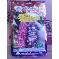 ราคา เมล็ดพันธุ์ข้าวโพดขาว-ม่วง (6651747375)