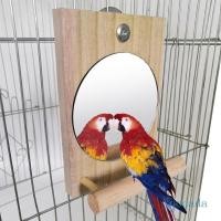 ราคา Yoo Parrot Perch Mirror Stands สําหรับ Macaws Cockatoos Parakeets Conures (26922492379)