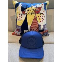 ราคา หมวกแก๊ป Quiksilver สีน้ำเงิน ของแท้ 390บาท (1203823674)