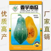 ราคา ประมาณ10เมล็ดเผือกเมล็ดฟักทองที่นั่งแตงหลายหอมผงหวานข้าวเหนียวเผือกรสเผือกเมล็ดพันธุ์ผักเผือก (43775608344)