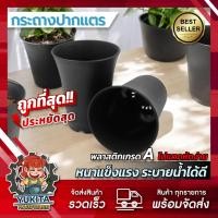 ราคา (1ชิ้น) กระถางต้นไม้ กระถางปากแตร กระถาง กระถางไม้กราฟ กระถางแคตตัส ทรงสูง 4 นิ้ว (26274251081)