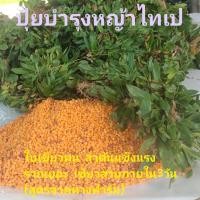 ราคา ปุ๋ยบำรุงหญ้าไทเป ชุด 2 กิโลกรัม (43710763041)