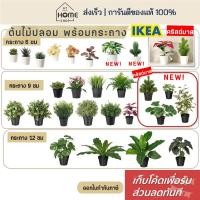 ราคา [เก็บโค้ดก่อนสั่ง] ส่งเร็ว อิเกีย แท้ ต้นไม้ปลอม เหมือนจริง พร้อมกระถาง แต่งห้อง มินิมอล มอนสเตลล่า ต้นไม้ IKEA (5052620915)