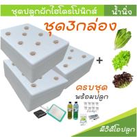 ราคา [ชุด3กล่องพร้อมปลูก] ชุดกล่องโฟมปลูกผักไฮโดรโปนิกส์ ปลูกผักไฮโดรโปนิกส์ hydroponic (44361268143)