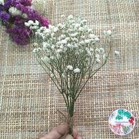 ราคา ดอกไม้แห้ง ช่อมินิ ช่อดอกไม้แห้ง ช่อยิปซี สเตติส สุ่ย แคสเปีย ดอกไม้แห้ง พร้อมส่ง (23926816822)