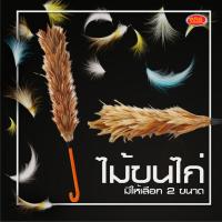 ราคา ไม้ปัดฝุ่นขนไก่ ด้ามพลาสติก ไม้ขนไก่ ไม้ปัดฝุ่น มีให้เลือก 2 ขนาด (22674060613)