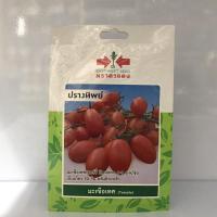 ราคา มะเขือเทศ ปรางทิพย์ ศรแดง (3041523983)
