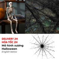 ราคา ชุดโมเดลกระดูกมนุษย์ 40 ซม., เว็บแมงมุม, ตกแต่งปาร์ตี้ฮาโลวีนไหมแมงมุม - ชุดโครงกระดูก 40 ซม. สําหรับฮาโลวีน BBHL134 (41625309045)