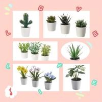 ราคา ‼️New‼️ ต้นไม้ปลอม FEJKA เฟคก้า ต้นไม้ประดิษฐ์ในกระถาง IKEA พร้อมส่ง (10806276229)