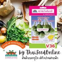 ราคา Advance Seeds(ตราตะวันต้นกล้า) ADVOP ซฟ เมล็ดพันธุ์ มะเขือเปราะ มะเขือเปราะจาว จาวบรรพต ประมาณ 320 เมล็ด ตราตะวันต้นก... (21383636514)