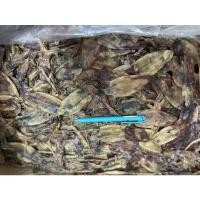 ราคา ปลาหมึกแห้งตัวใหญ่แพ็คละครึ่งกิโลกรัม (20742061448)