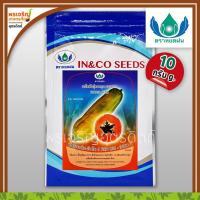 ราคา เมล็ดพันธุ์มะละกอ มะละกอแขกดำ เรดบิก-อินโค 4 (10 กรัม) เมล็ดมะละกอแขกดำ มะละกอซองใหญ่ เมล็ดพันธุ์ผักสวนครัว ตราหยดฝน (18288924250)