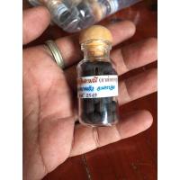 ราคา ลูกอมวาสนา จินดามณี หลวงปู่เจือวัดกลางบางแก้ว (5969757620)