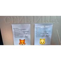 ราคา ปีล่าสุด หมดอายุ 28/2/2569 (ของแท้100%) สติ๊กเกอร์จอดรถ (41408560321)