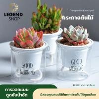 ราคา กระถางดอกไม้ขี้เกียจ อัตโนมัติดูดซับน้ำ กระถางต้นไม้โปร่งใสสองชั้น พลาสติกแข็งแรง รดน้ำง่าย เหมาะสำหรับโต๊ะทำงาน (40522243372)