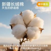 ราคา กางเกงขาสั้นผ้าฝ้ายต้านเชื้อแบคทีเรียเด็กเด็กผ้าไหมเด็กกลางเด็กใหญ่ชุดชั้นในเด็กเป้านักมวย10.21/ระดับกเด็กชาย (41675270569)