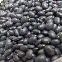 ราคา ถั่วดำ ขนาด 1000 กรัม (16448273267)