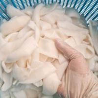 ราคา เนื้อมะพร้าวน้ำหอม ขูดริ้ว ชั้นครึ่ง-1.7 ชั้น 1 kg. (15692840514)