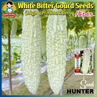 ราคา เมล็ดมะระขาว เมล็ดพันธุ์มะระจีนขาว White Bitter Gourd Seed 15เมล็ด ปลูกง่าย ผลผลิตสูง เมล็ดพันธุ์ผัก ผักสวนครัว เมล็ดผัก (27633793679)