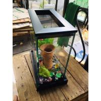 ราคา โหลปลาพร้อมฝาปิดและฐาน มี 2 สี สีดำ และ ขาว​ ขนาด​ 4x8x8​ นิ้ว กระจกหนา​ 3 mm. (8955410501)