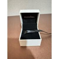 ราคา กล่องใส่จี้ Pandora ของแท้ (24944307007)