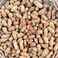 ราคา ถั่วลิสงคั่วทรายหรือถั่วดินคั่วทรายแบบโบราณ200กรัม (25030807915)