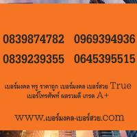 ราคา เบอร์มงคล ทรู True Move H ทรูมูฟ ราคาถูก เบอร์โทรศัพท์ เบอร์มงคล เบอร์สวย ผลรวม เกรด A (5812922010)