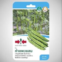 ราคา เมล็ดถั่วพู กำแพงแสน 20เมล็ด ศรแดง (815261722)