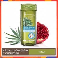 ราคา Yves Rocher Anti Dandruff Shampoo 300 ml อีฟ โรเช แอนตี้-แดนดรัฟ แชมพู 300 มล. (5944876694)
