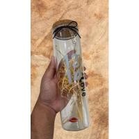 ราคา ขวดโหลแก้ว ขวดโหลใส่ดาว ขวดโหลตกแต่ง (6993897707)