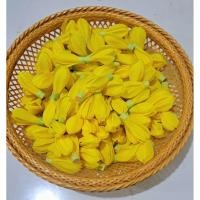 ราคา ดอกจำปีจำปาผ้า ดอกประดิษฐ์จากผ้า (40366562651)
