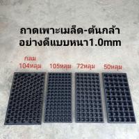 ราคา ถาดเพาะเมล็ด ถาดเพาะกล้า ถาดปลูก แผงเพาะต้นกล้า (4532825395)