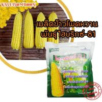 ราคา เมล็ดข้าวโพดหวาน พันธุ์ ไฮบริกซ์-81 1กก. ตรา แปซิฟิค โตเร็ว หวาน อร่อย (13938320651)