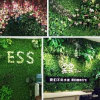 ราคา พืชพลาสติกและหญ้าเทียมสำหรับตกแต่งผนังและสนามหญ้า พร้อมดอกไม้ปลอม เหมาะสำหรับระเบียงและห้องนั่งเล่น (48900144451)