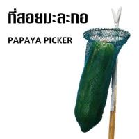 ราคา ที่สอยมะละกอ ไม้สอยมะละกอ ที่เก็บลูกมะละกอ ตะขอเกี่ยวลูกมะละกอ papaya picker harvesting tools (9590055227)