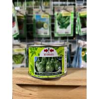 ราคา เมล็ดพันธุ์มะเขือเปราะหยาดทิพย์ (ศรแดง) ขนาด 20 กรัม (26158088661)