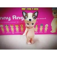 ราคา Sonny Angel Chihuahua (27254730506)