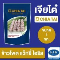 ราคา เมล็ดพันธุ์ เจียไต๋ BIG ข้าวโพดข้าวเหนียว แว็กซี่ ไอริส CBS ขนาด 1 กิโลกรัม (25075590973)