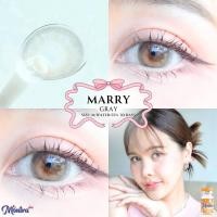 ราคา คอนแทคเลนส์ ขนาดกลาง Marry (Montra) สี : Brown / Gray / Almond Brown (27702454075)