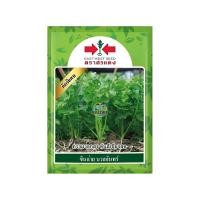 ราคา เมล็ดขึ้นฉ่าย นวลจันทร์ ขนาด50กรัม ตราศรแดง เมล็ดพันธุ์ขึ้นฉ่าย เมล็ดพันธุ์ผัก เมล็ดผักสวนครัว เมล็ดคื่นฉ่าย ศรแดง (7358887218)