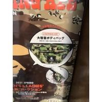 ราคา กระเป๋าสะพายชายหญิง crossbody Bapeแท้100%จากjapan (7862480428)