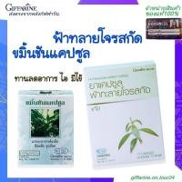 ราคา ขมิ้นชัน แคปซูล และ ฟ้าทะลายโจรสกัด เข้มข้น กิฟฟารีน เสริมภูมิต้านทาน ดูแลสุขภาพ ฝุ่นPM อาหารเสริมเพื่อสุขภาพ (9484627662)