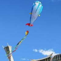 ราคา ว่าวขนาดใหญ่ นุ่ม ลายเสือ วาฬ โลมา สำหรับผู้ใหญ่ ง่ายต่อการบิน พร้อมสายลมไมโครและรอกสำหรับผู้เริ่มต้น (27630032071)