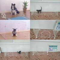 ราคา กรงญี่ปุ่น แบรน iris (1458687317)