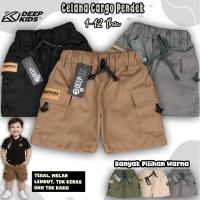 ราคา KATUN DEEPKIDS กางเกงขาสั้นคาร์โก้สําหรับเด็กผู้ชายผ้าฝ้ายทอลายทแยงระดับพรีเมียมอายุ 1 2 3 4 5 6 7 8 9 10 11 12 ปี | ซีพีพี (42924780399)