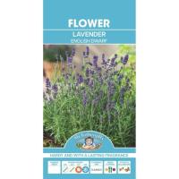 ราคา เมล็ดพันธุ์ English Dwarf Lavender Seeds อิงลิช ดวอร์ฟ ลาเวนเดอร์ 150 เมล็ด (28580747838)