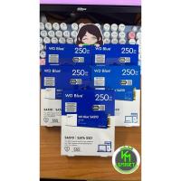 ราคา 250 GB SSD (เอสเอสดี) WD BLUE SA510 - SATA M.2 2280 (WDS250G3B0B) (24222518921)