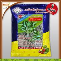 ราคา เมล็ดพันธุ์ผักบุ้ง ผักบุ้งแก้ว แตกกอ (1 กิโลกรัม) เมล็ดผักบุ้งแก้ว ผักบุ้งเย็นตาโฟ ต้นอวบ เมล็ดพันธุ์ผักสวนครัว ตราสามเอ (26935727584)