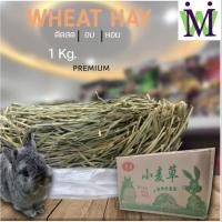 ราคา หญ้าวีท 1 Kg. อบสด ข้าวสาลี หญ้ากระต่าย อาหารกระต่าย อาหารแพรี่ด็อก อาหารชินชิล่า อาหารหนูแกสบี้ (20205096868)