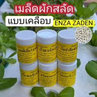 ราคา เมล็ดพันธุ์ผักสลัด ชนิดเคลือบ Enza Zaden กระปุก 1,000 เมล็ด (43208274116)